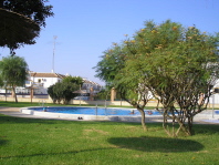 Communal Pool